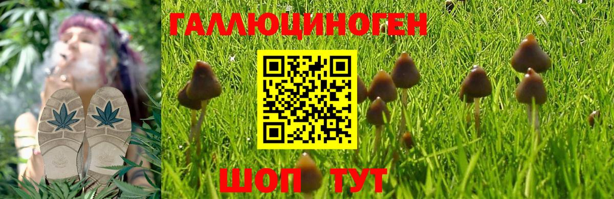 Псилоцибиновые грибы MAGIC MUSHROOMS Нижневартовск